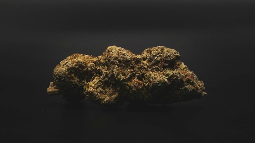 A close-up of a single cannabis bud with a rough, textured surface and greenish-brown tones, placed against a dark, black background.